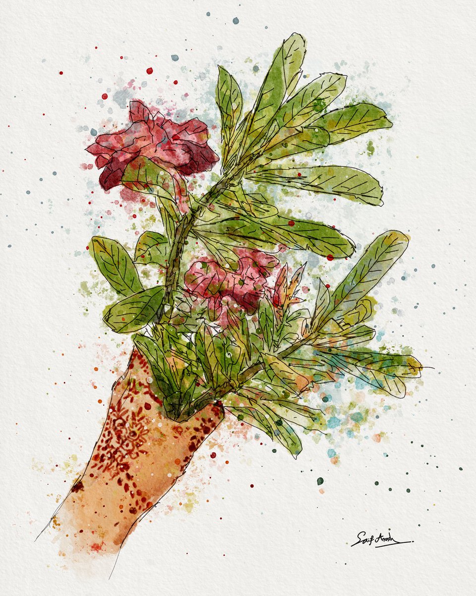 Saif Arash tweet media