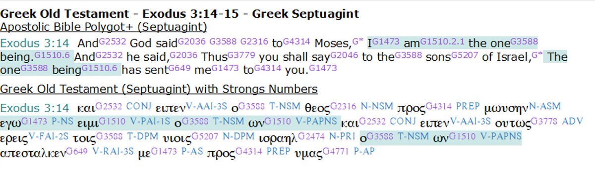 Vans Rechello tweet media