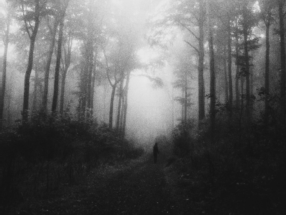 Thomas C. tweet media