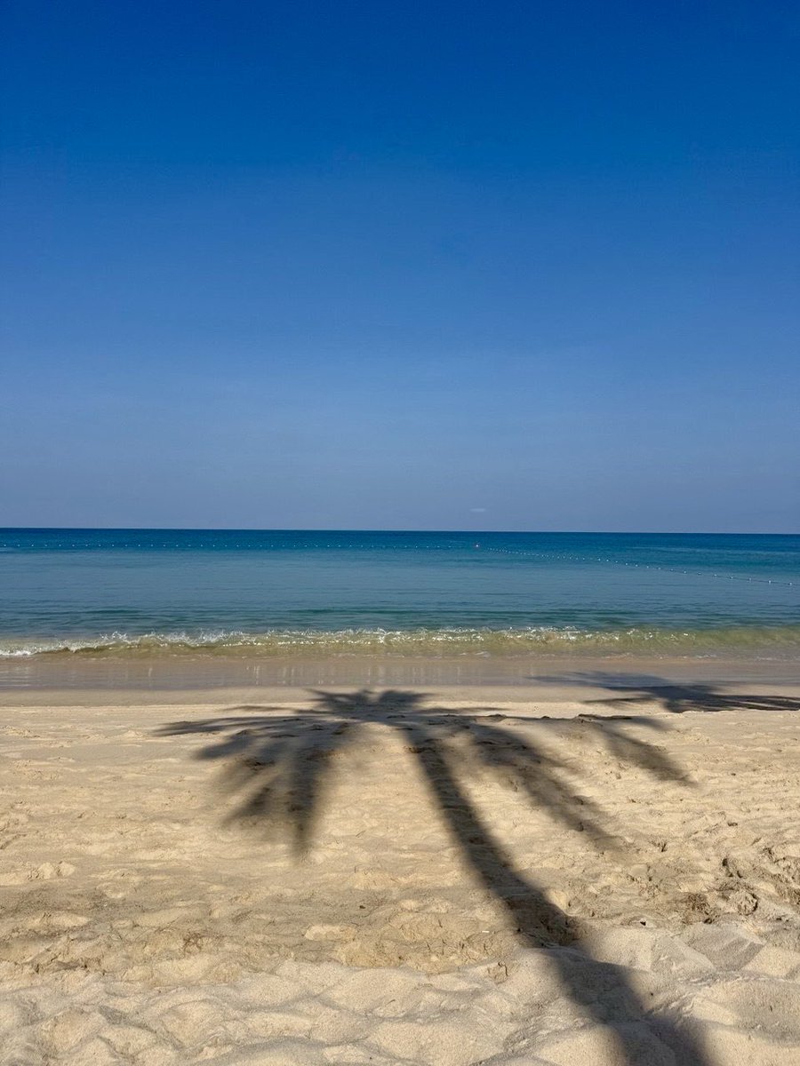 Светлaнa Шерстобитова tweet media