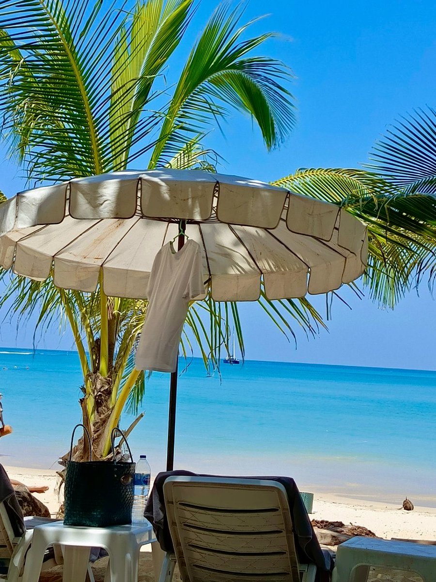 Светлaнa Шерстобитова tweet media