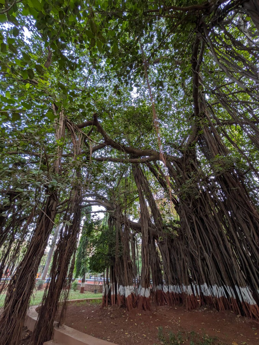 Joydeep Ganguly tweet media