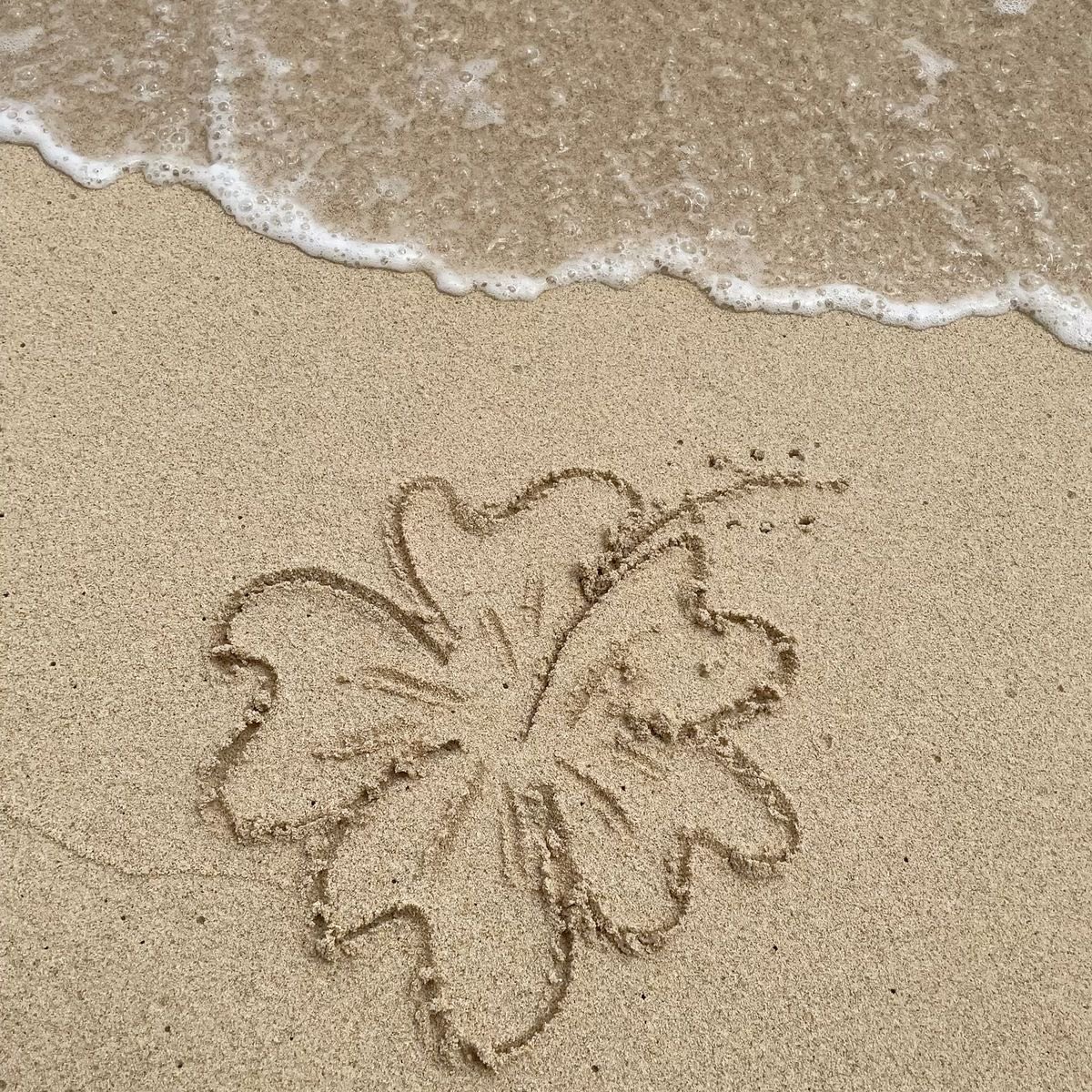 𝙈𝙖𝙧𝙮 tweet media