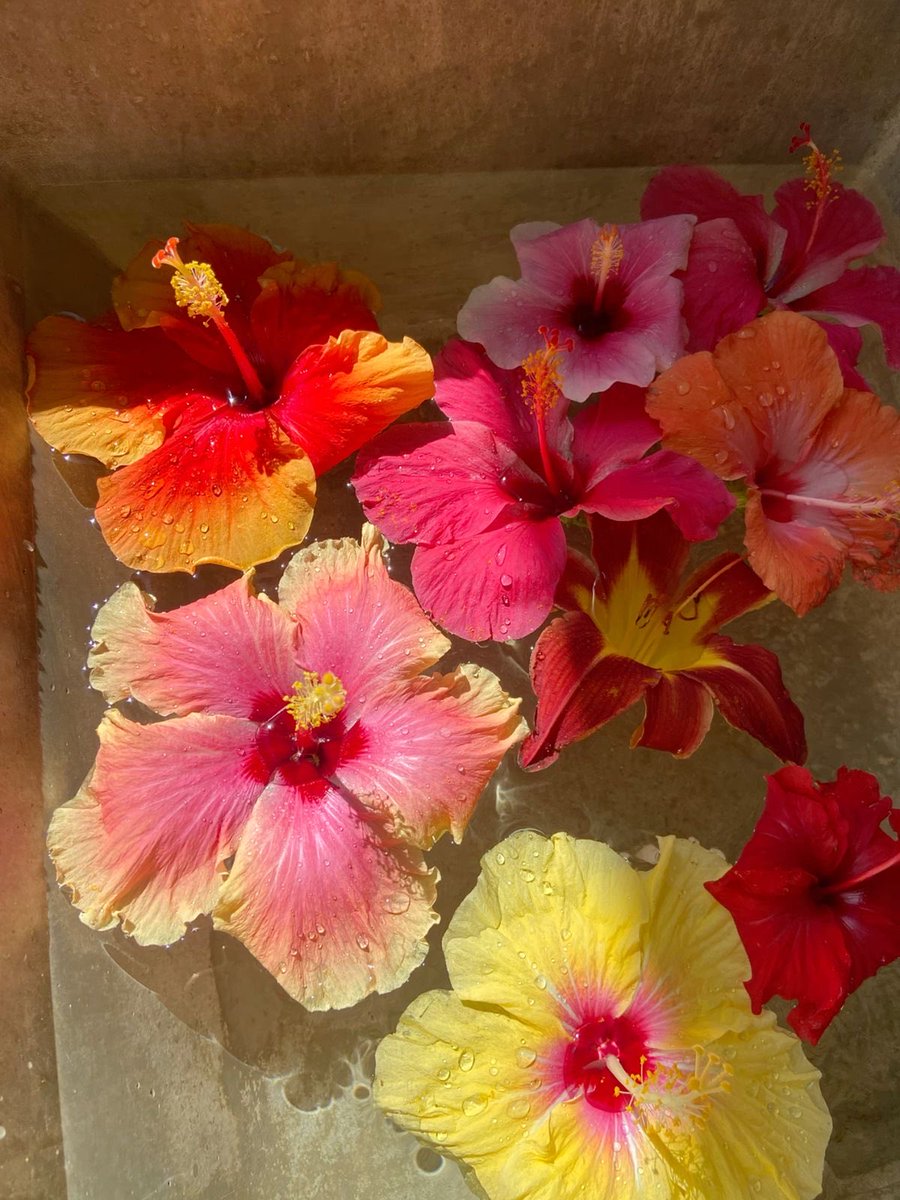 𝙈𝙖𝙧𝙮 tweet media