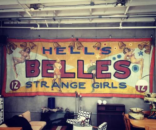 Jonathan Carroll tweet media