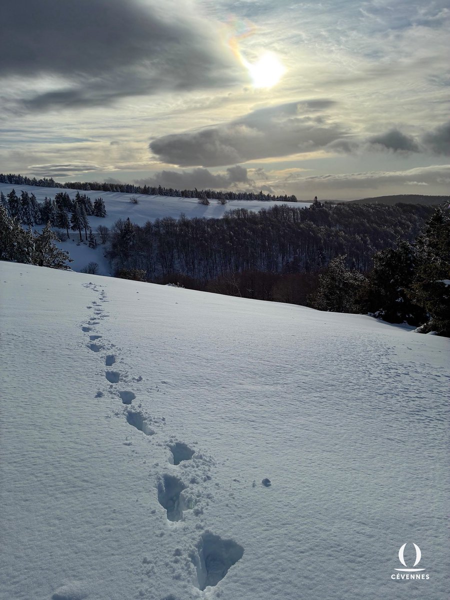 Les Cévennes d’Oraterra tweet media
