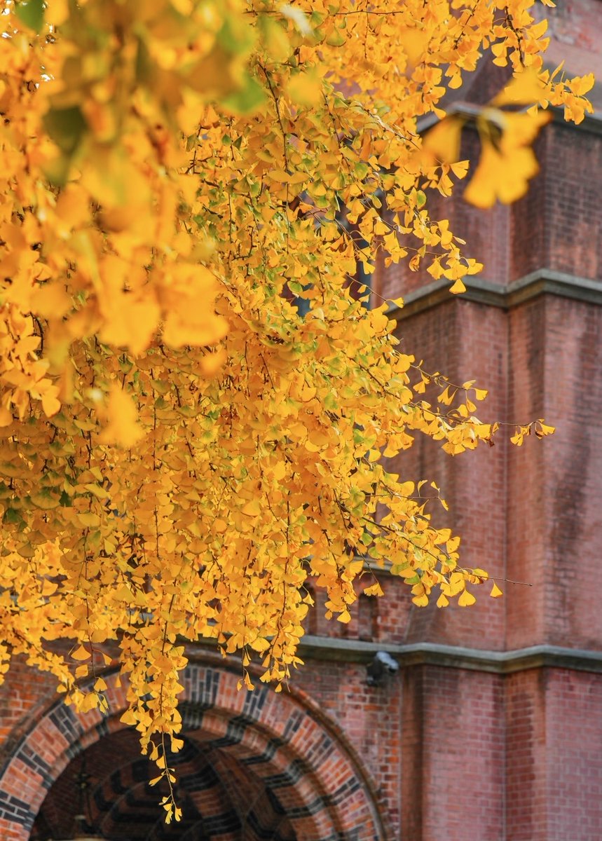 Sandy Walker tweet media