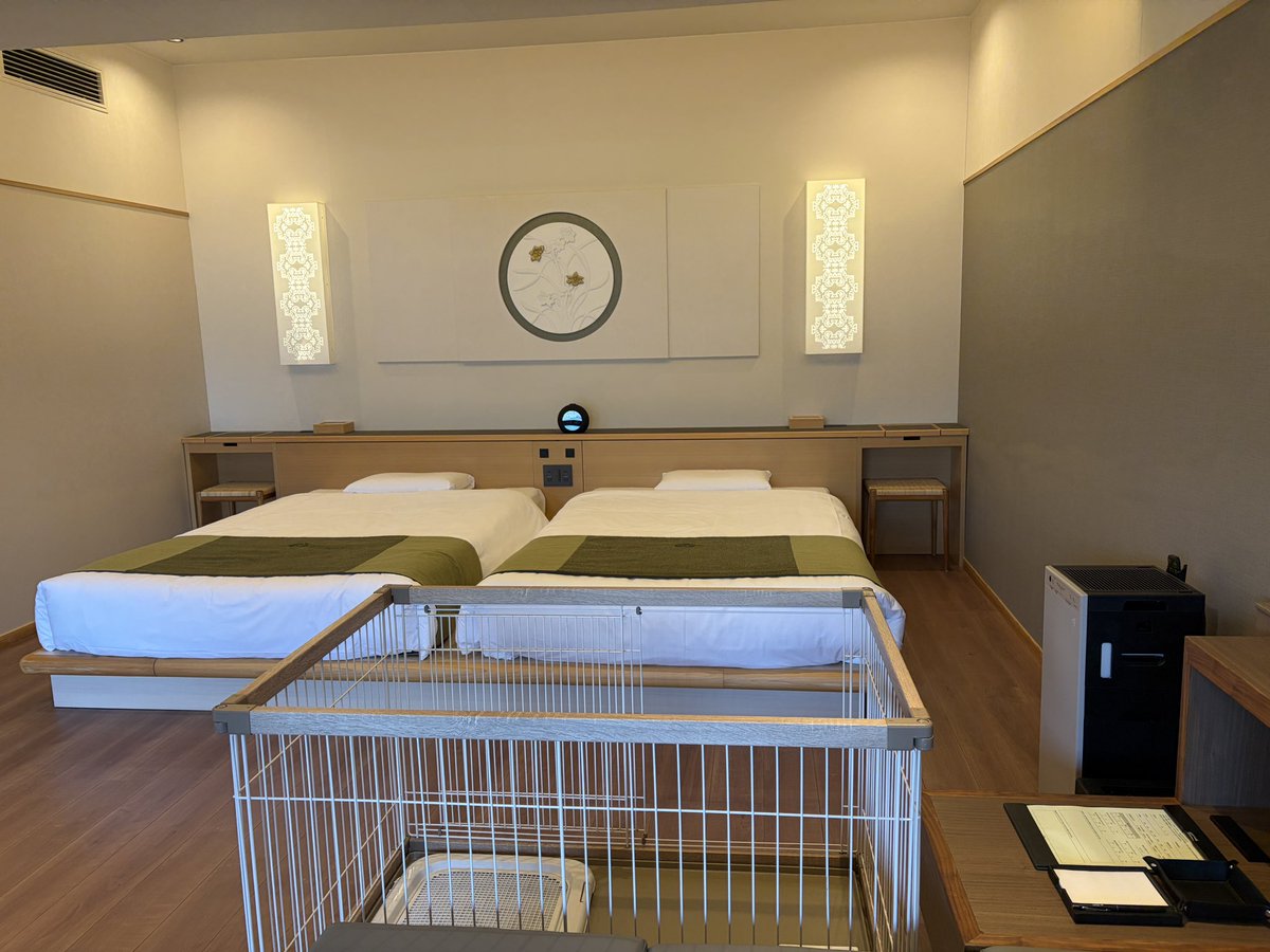 𝐑𝐮𝐢 tweet media