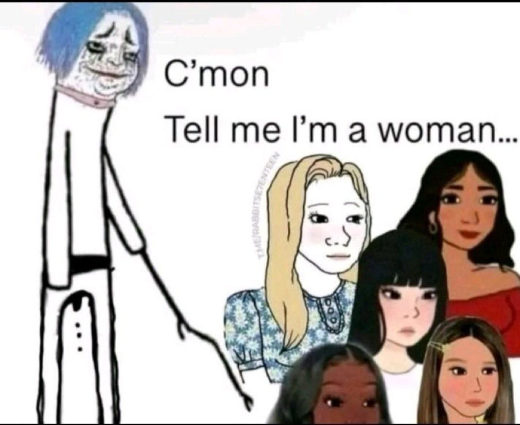 Wizard of Optics tweet media