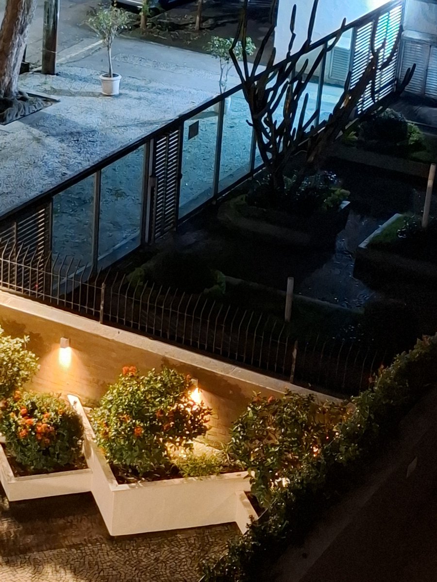 Fernando Fukuda tweet media