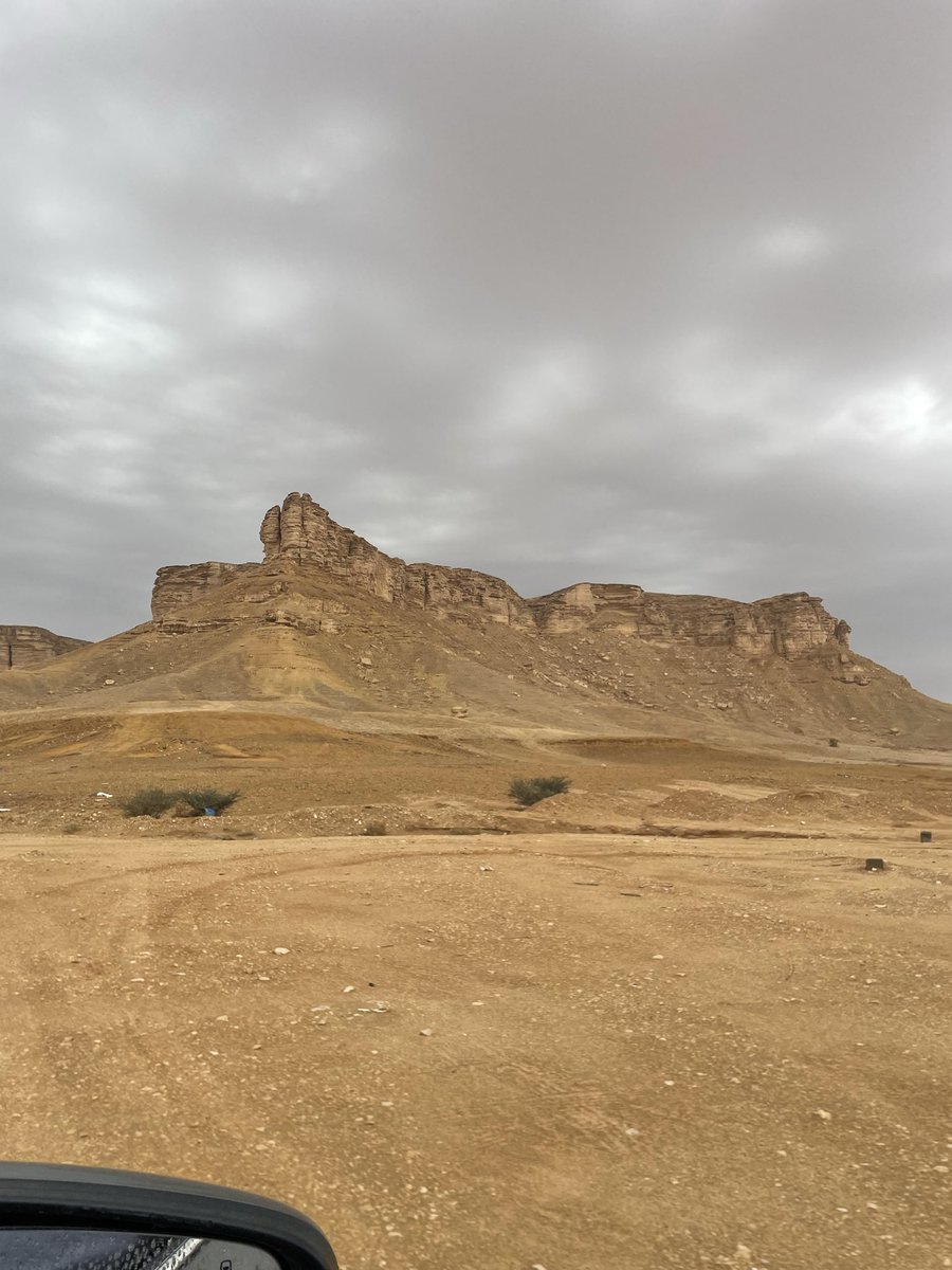 يزيد tweet media