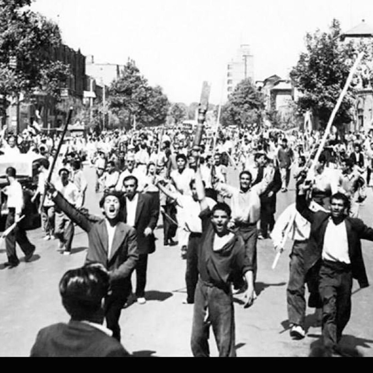 🕊️سام tweet media