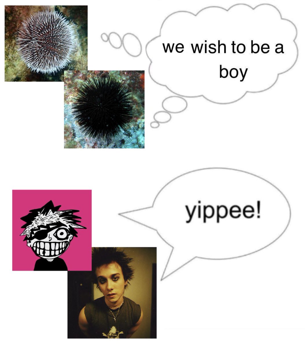 ตัวเย็น tweet media