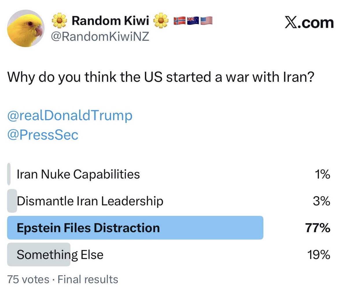 🌼 Random Kiwi 🌼 🇳🇴🇳🇿🇺🇸 tweet media