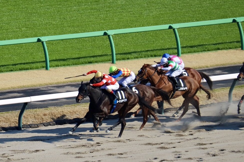 競馬専門紙「優馬」 tweet media