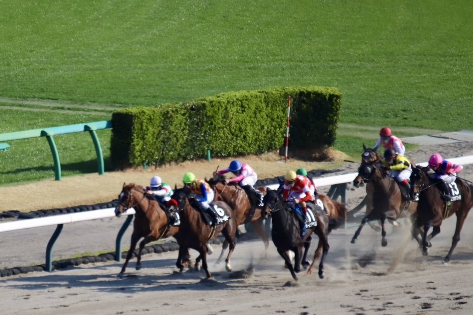 競馬専門紙「優馬」 tweet media