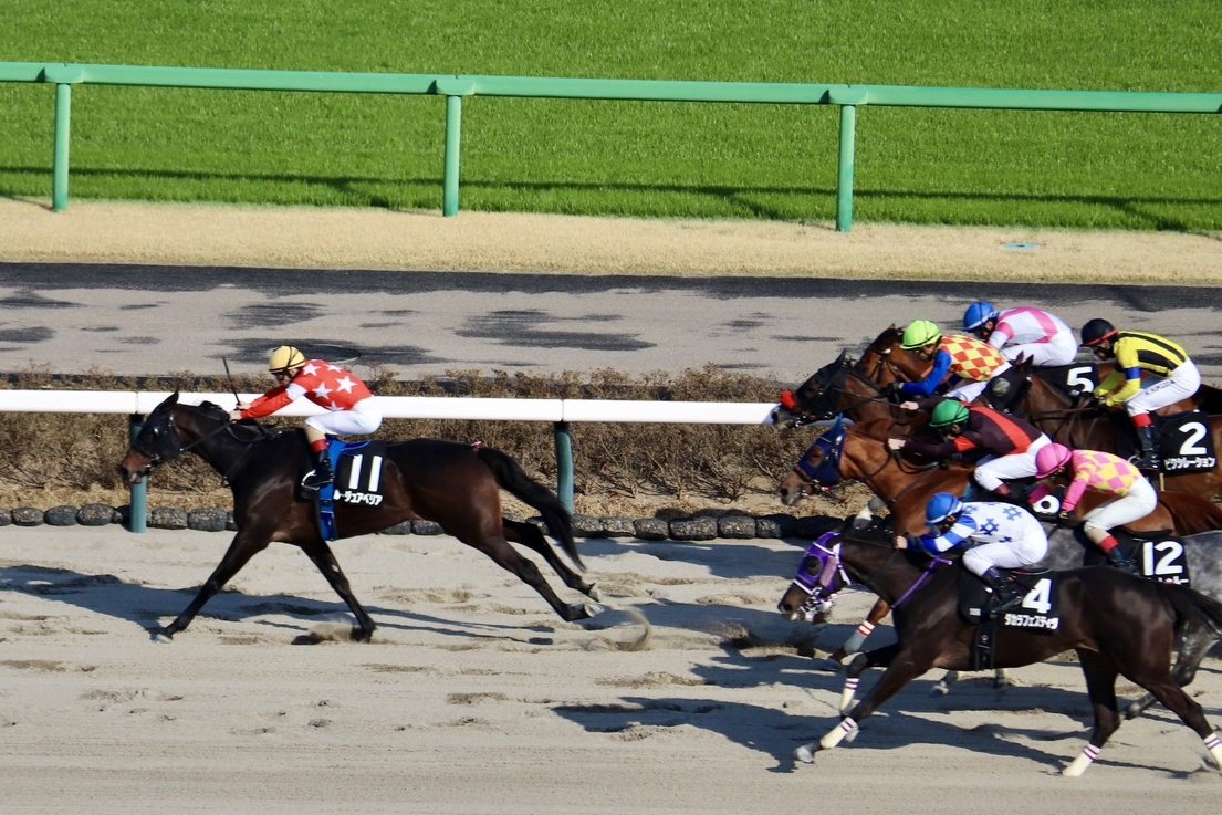 競馬専門紙「優馬」 tweet media