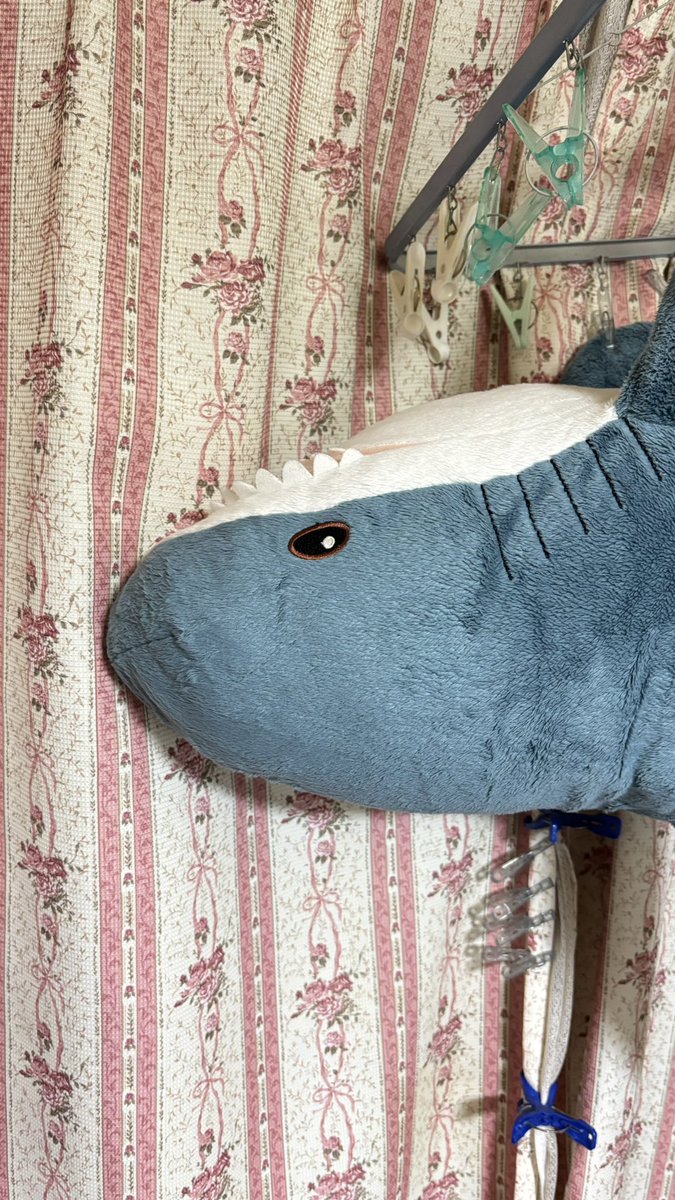 やよい tweet media