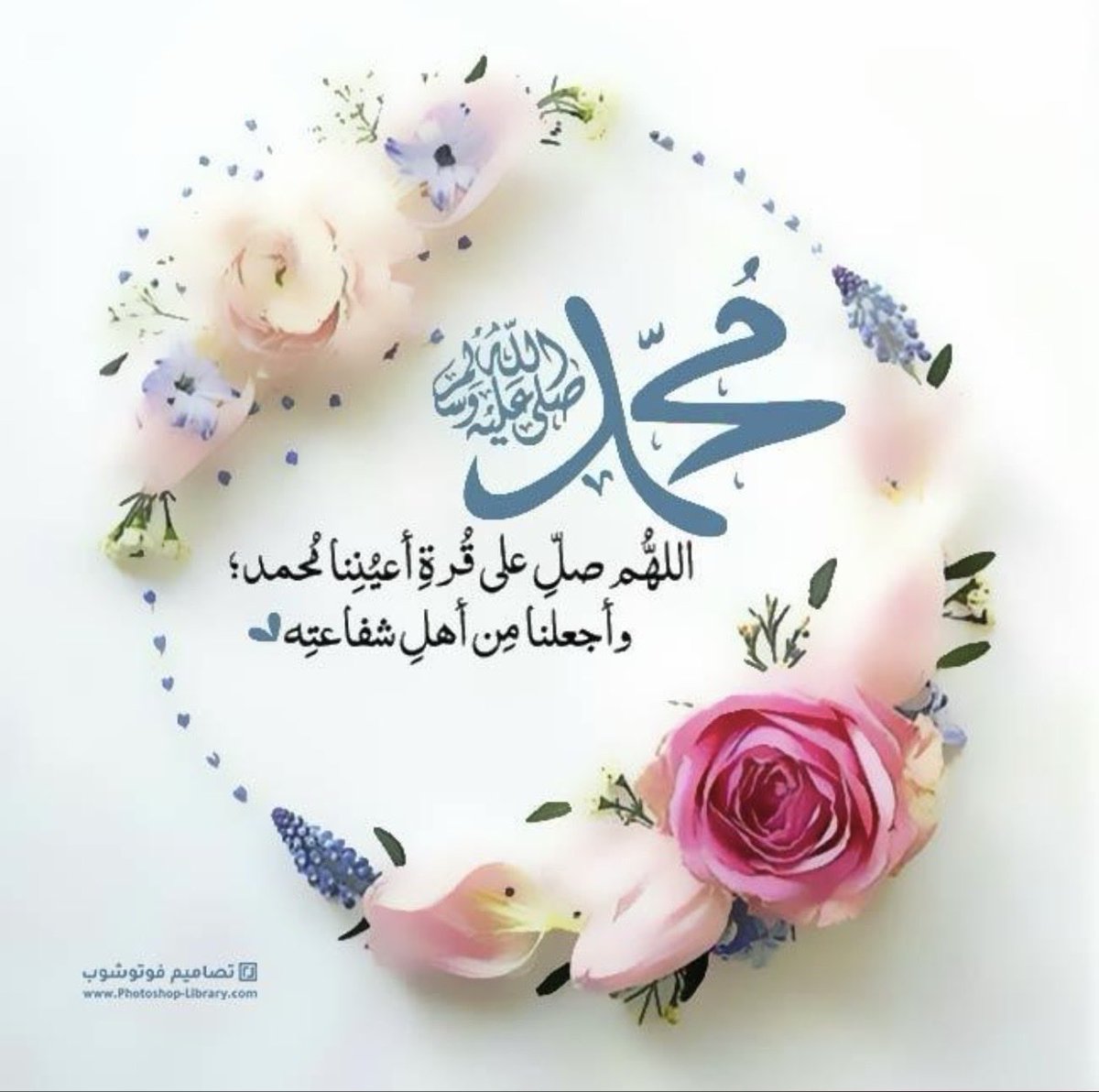 طالبة الغفران (@talebatalgofran) on Twitter photo 