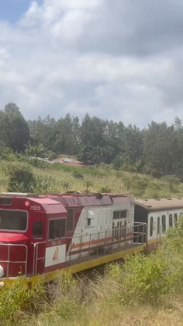 D I K E M B E tweet media