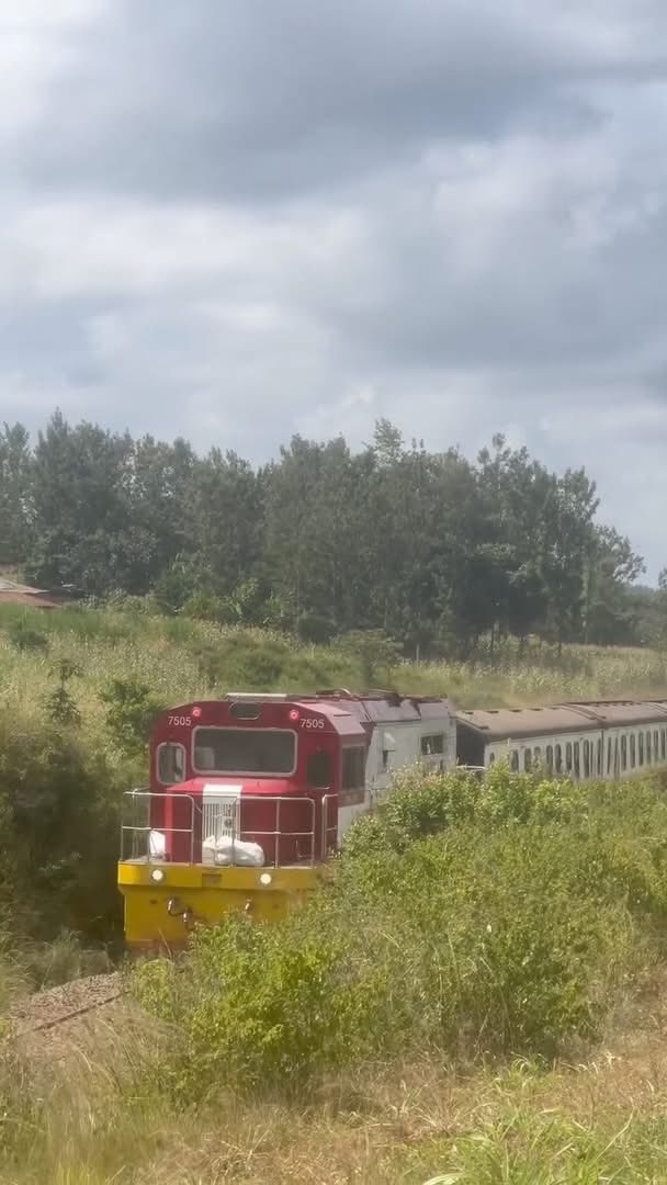 D I K E M B E tweet media