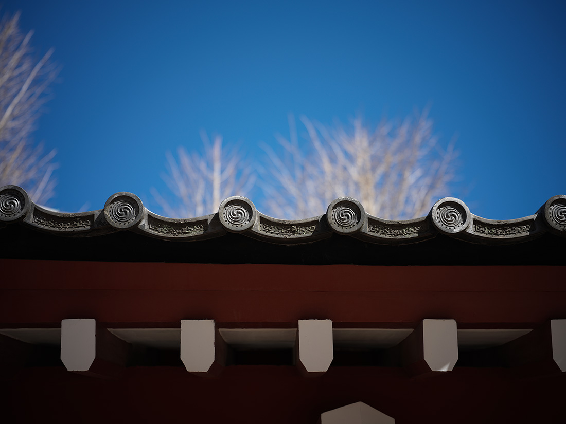 カメラ専門店 マップカメラ【公式】 tweet media