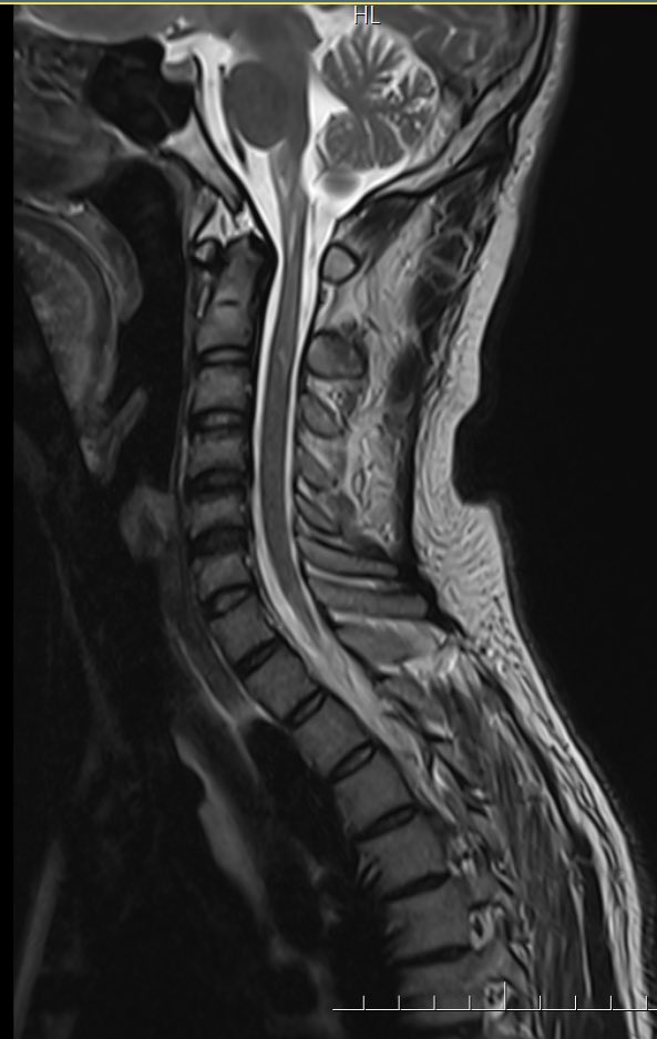 Neurophilia tweet media