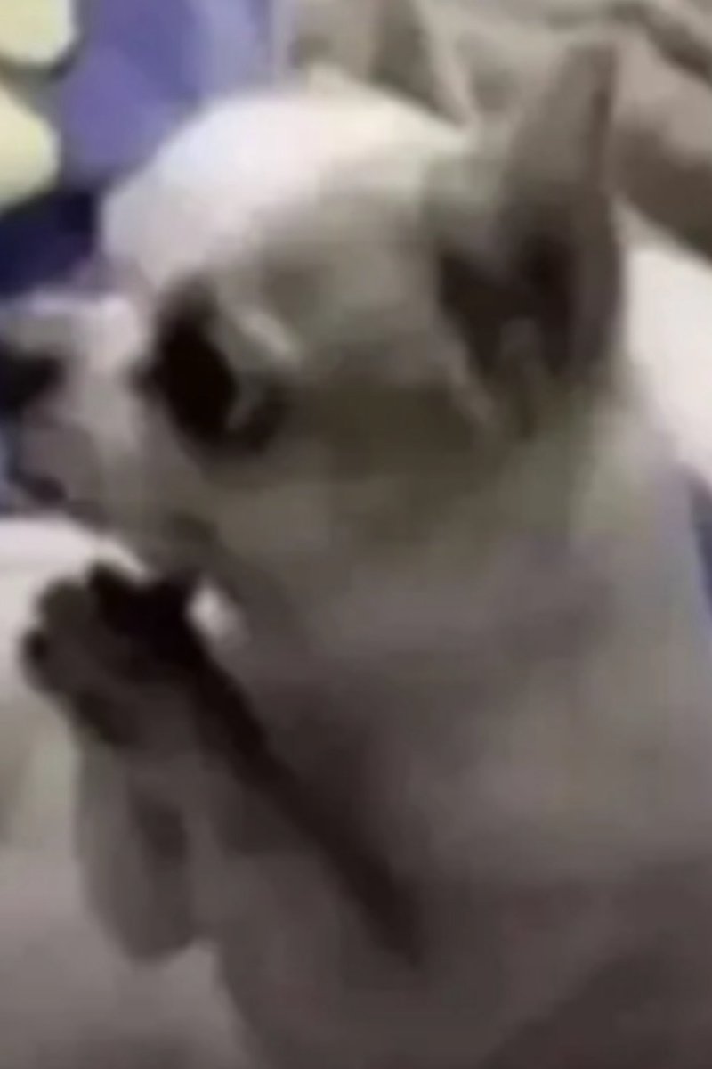 Hår Yør Mhie Dey tweet media