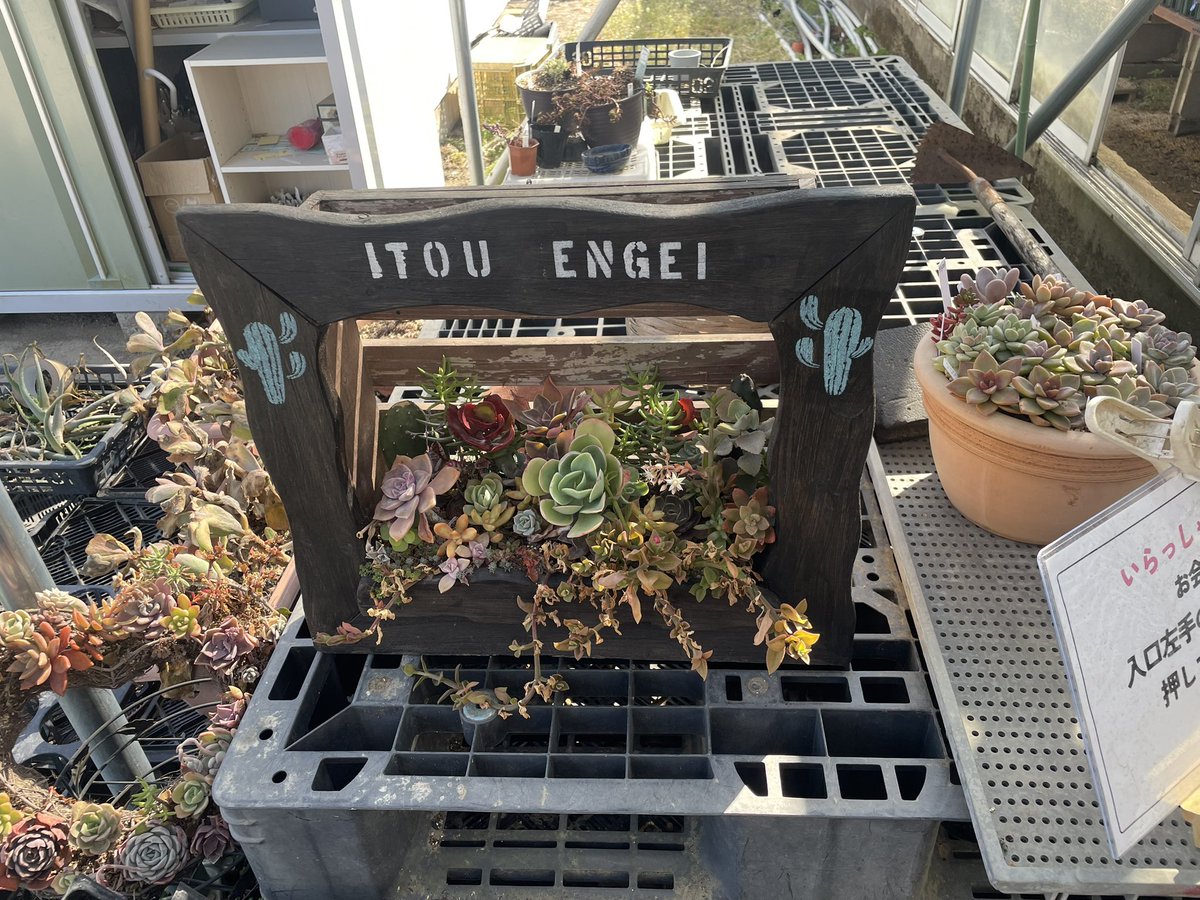 替天行道（たいてんぎょうどう） tweet media