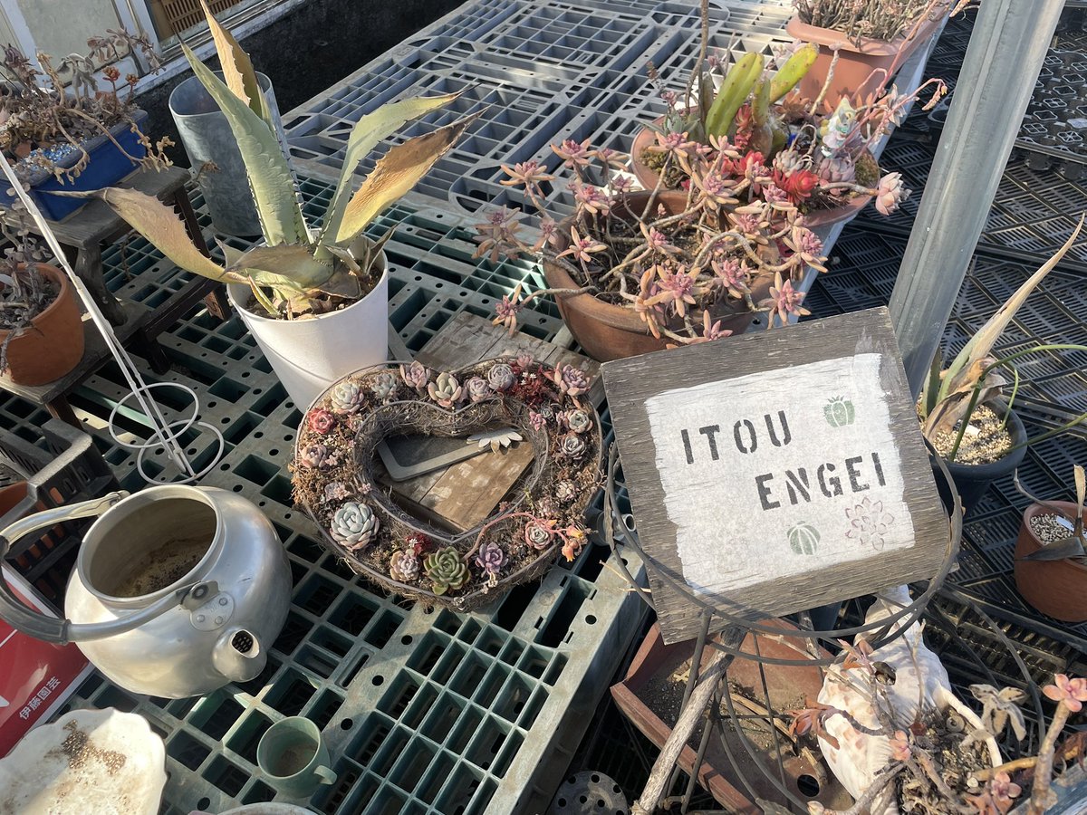 替天行道（たいてんぎょうどう） tweet media