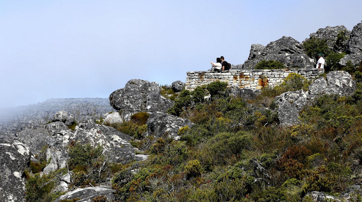 Anthony Randolph tweet media