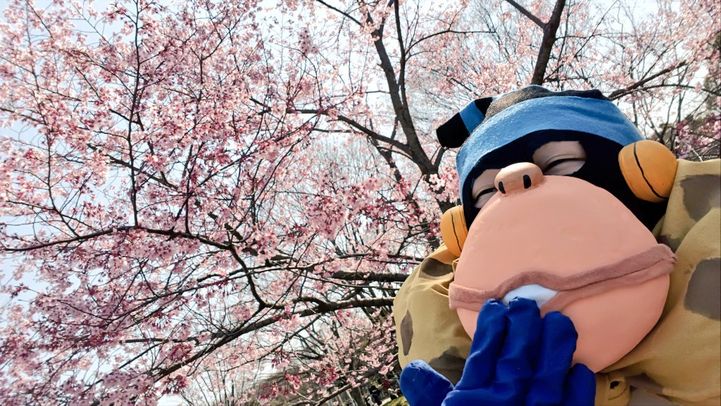 西瓜(次男) tweet media