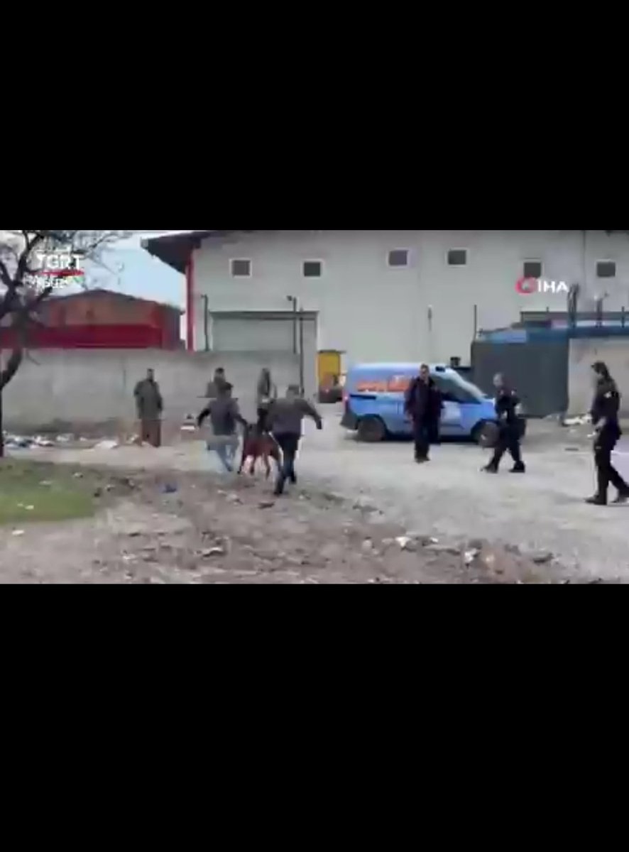 Seda Ünlem tweet media