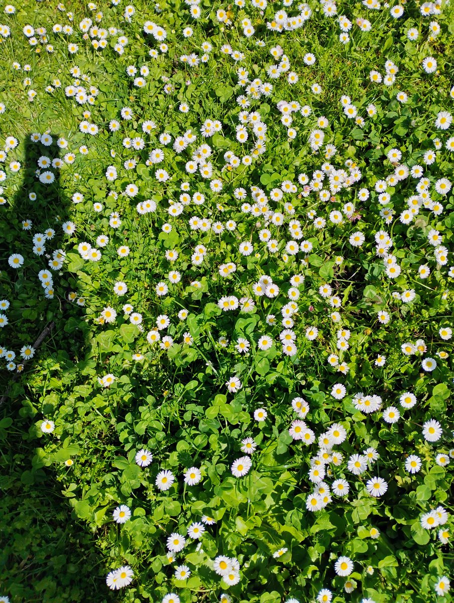 Giovanna tweet media