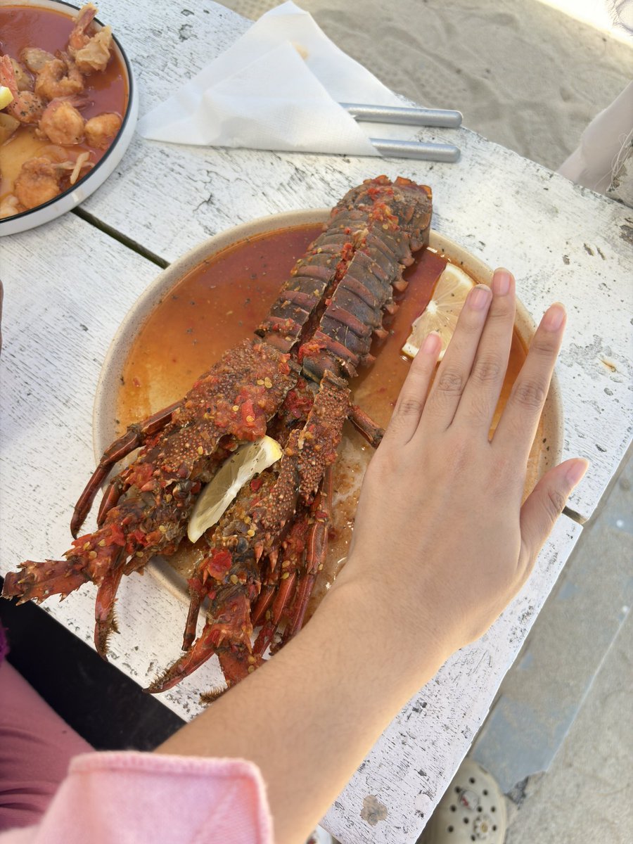 cila ❦ tweet media