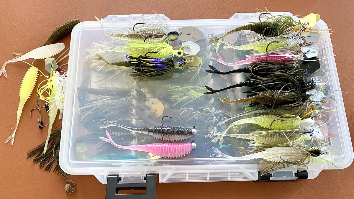 フィッシングは人を救うch(FHS ch) tweet media