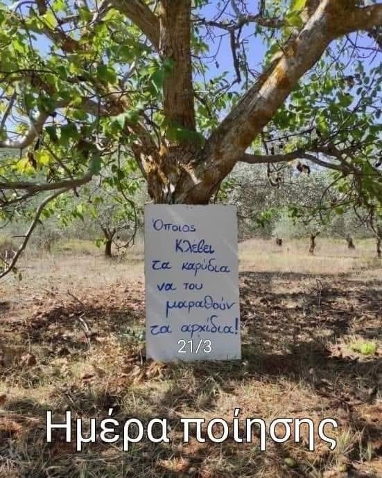 Δημήτρης ο Θράκας tweet media