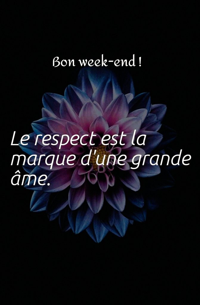 lyla 💞 💫 tweet media