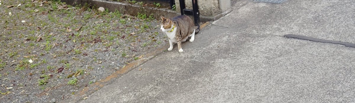 ユウヤ　ゴム製 tweet media