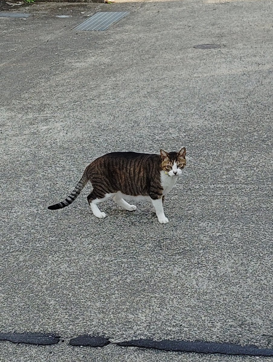 ユウヤ　ゴム製 tweet media