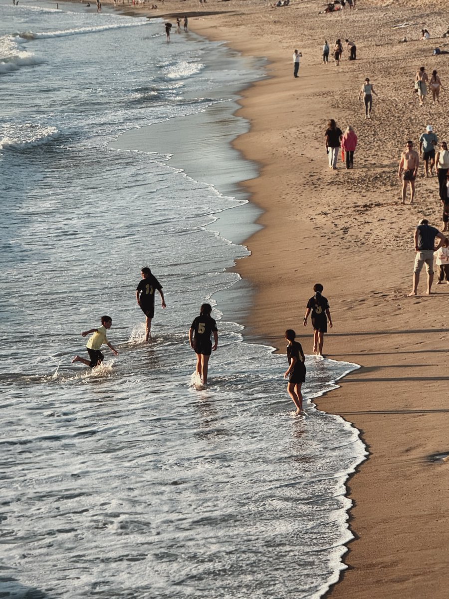 giovanni gallucci🌲🏕️ tweet media