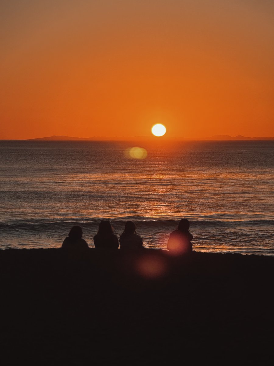 giovanni gallucci🌲🏕️ tweet media