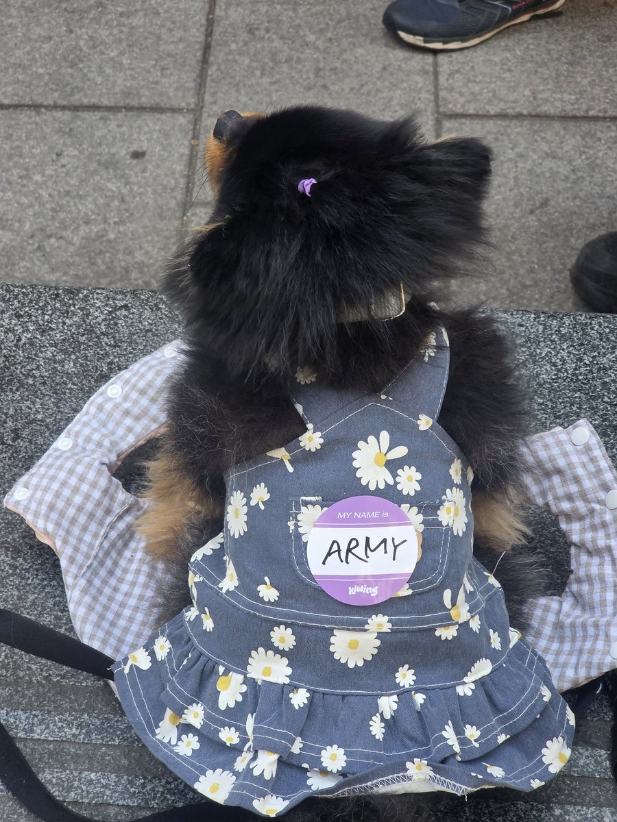 🐥j.m 침침부리츄😗💛 tweet media