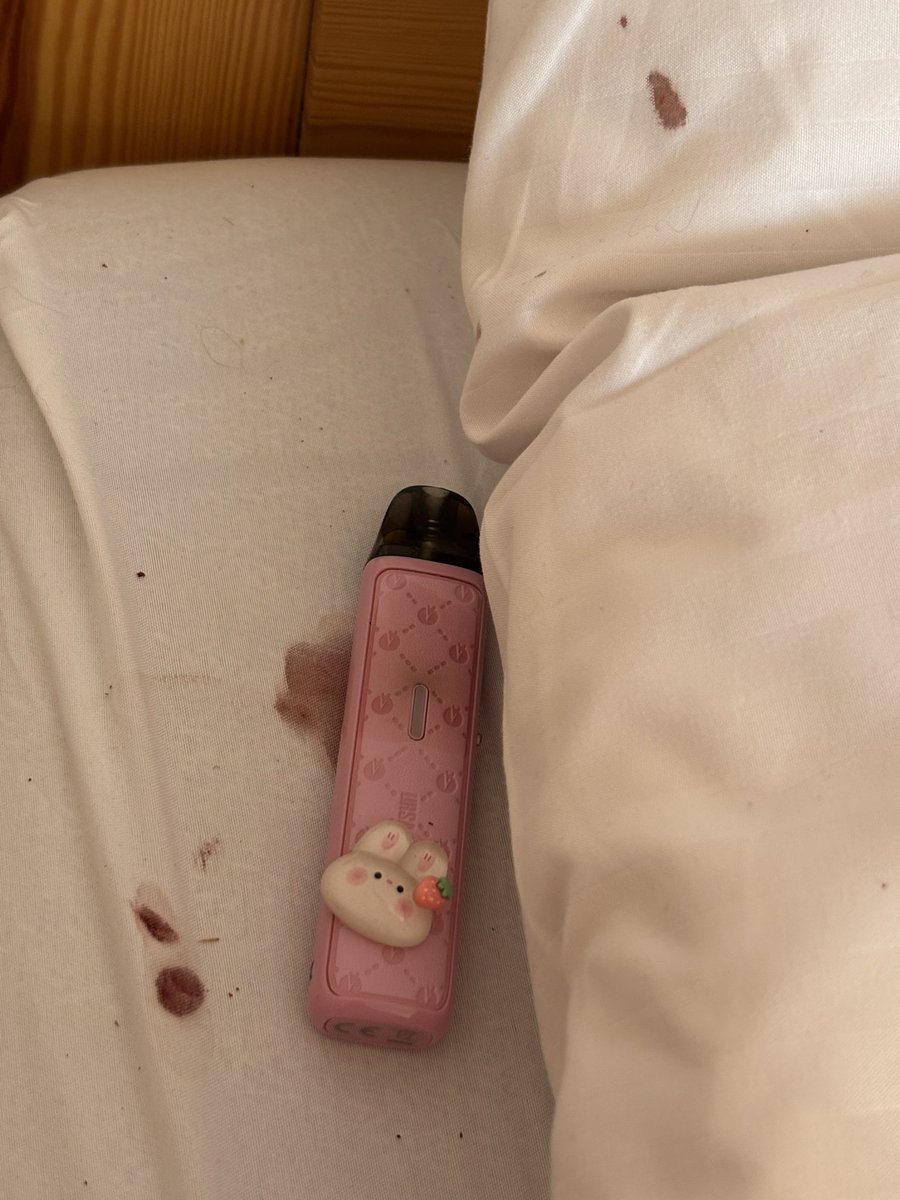 Bunni of shedtwt tweet media