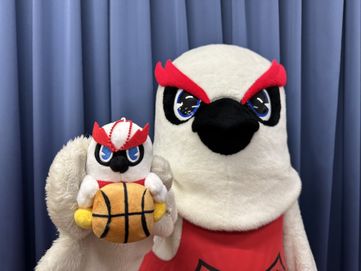 【公式】グラッキー(富山グラウジーズ) tweet media