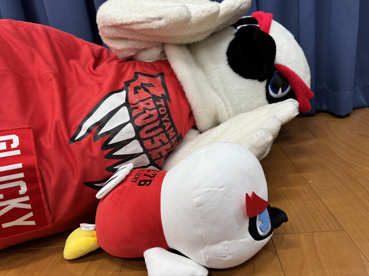 【公式】グラッキー(富山グラウジーズ) tweet media