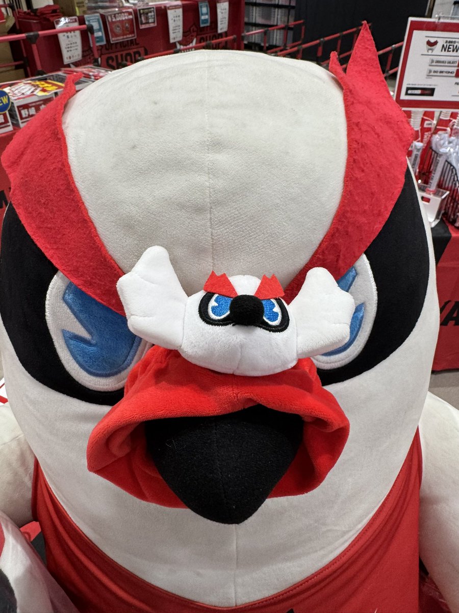 【公式】グラッキー(富山グラウジーズ) tweet media