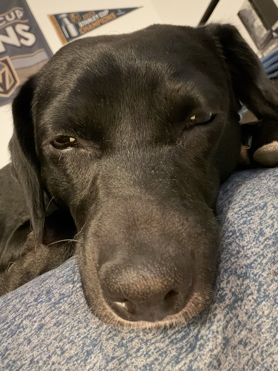 BlueTeamBad🏆 tweet media