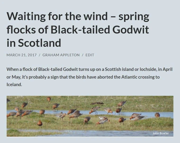 Graham Appleton tweet media