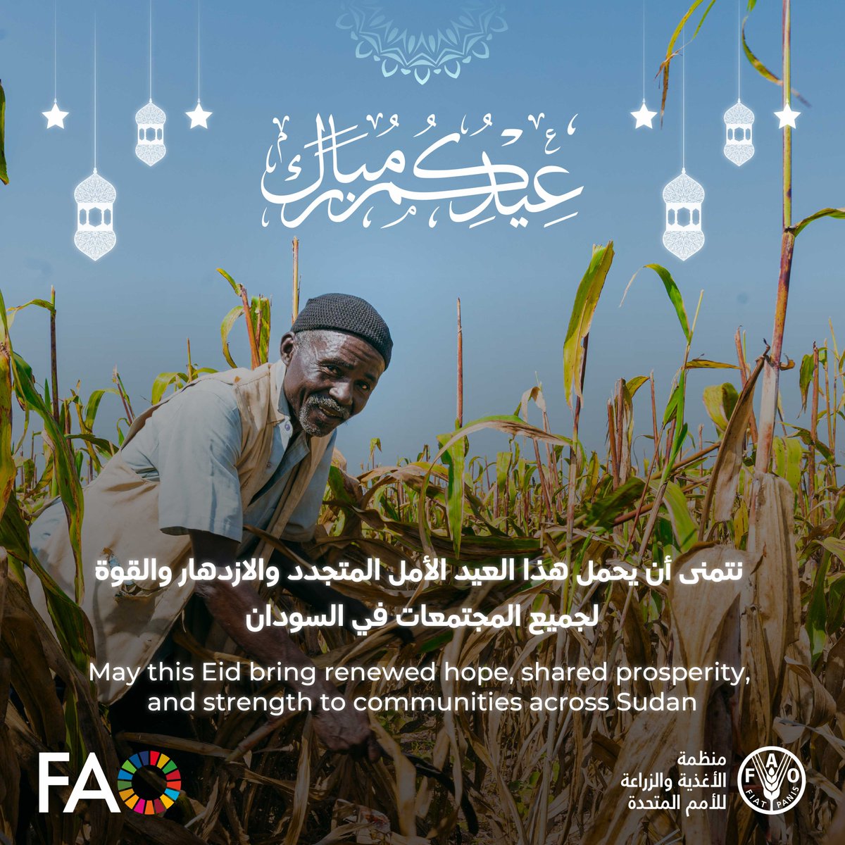 FAOSudan tweet media